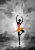 barwy pasji.webp
