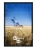 mockup-normalized-79.webp