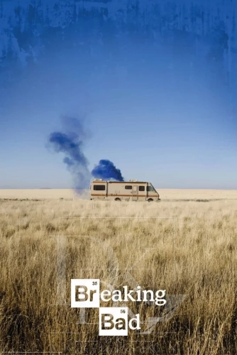 the cook.webp