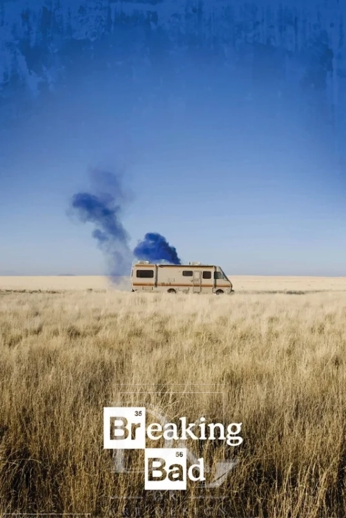 the cook.webp