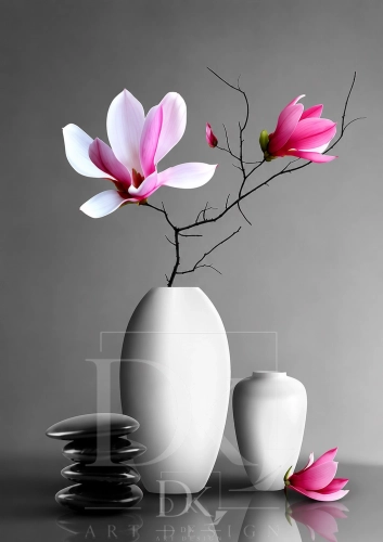 Magnolia Balance.webp