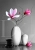 Magnolia Balance.webp