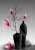 Midnight Magnolia.webp