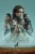 allegro 1 dune_ver16_xlg-topaz-remove-2.webp