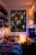 allegro 3.webp