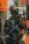 allegro 1 Urban Sentinel.webp