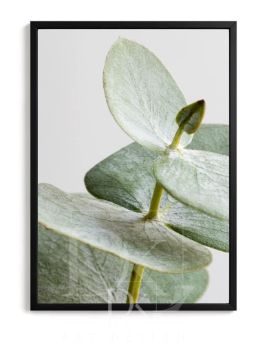 mockup-normalized-300.webp