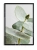 mockup-normalized-300.webp