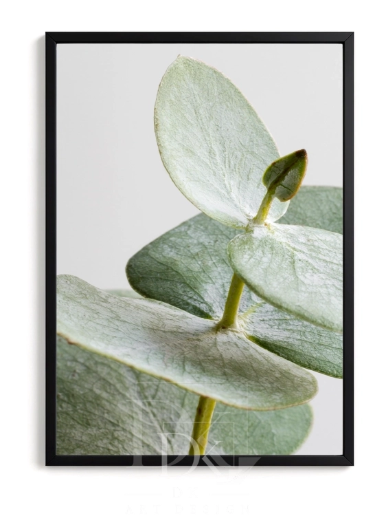 mockup-normalized-300.webp