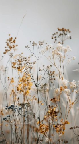 allegro 1 decorative-dreamy-arrangement-with-dried-flowers.webp