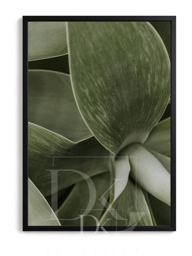 mockup-normalized-302.webp