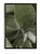mockup-normalized-302.webp