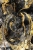 allegro 1 marbled-table-background.webp