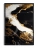 mockup-normalized-316.webp