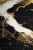 allegro 1 Black Gold Marble.webp