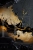 allegro 1 Golden Branches.webp