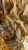 allegro 1 Golden Silk.webp