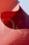 allegro 1 Scarlet Curve.webp