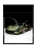 mockup-normalized-339.webp