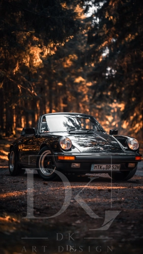 Porsche 911 Classic (964).webp