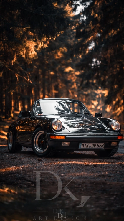 Porsche 911 Classic (964).webp