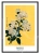 ChatGPT Image 2 lip 2026, 13_35_11.webp