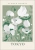 Tokyo Bloom.webp