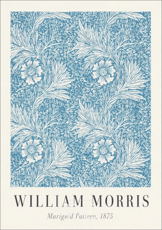 Blue Marigold.webp