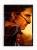allegro 2.webp